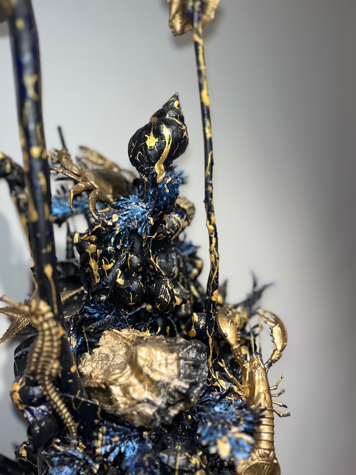 Obby's coral reef 1/1