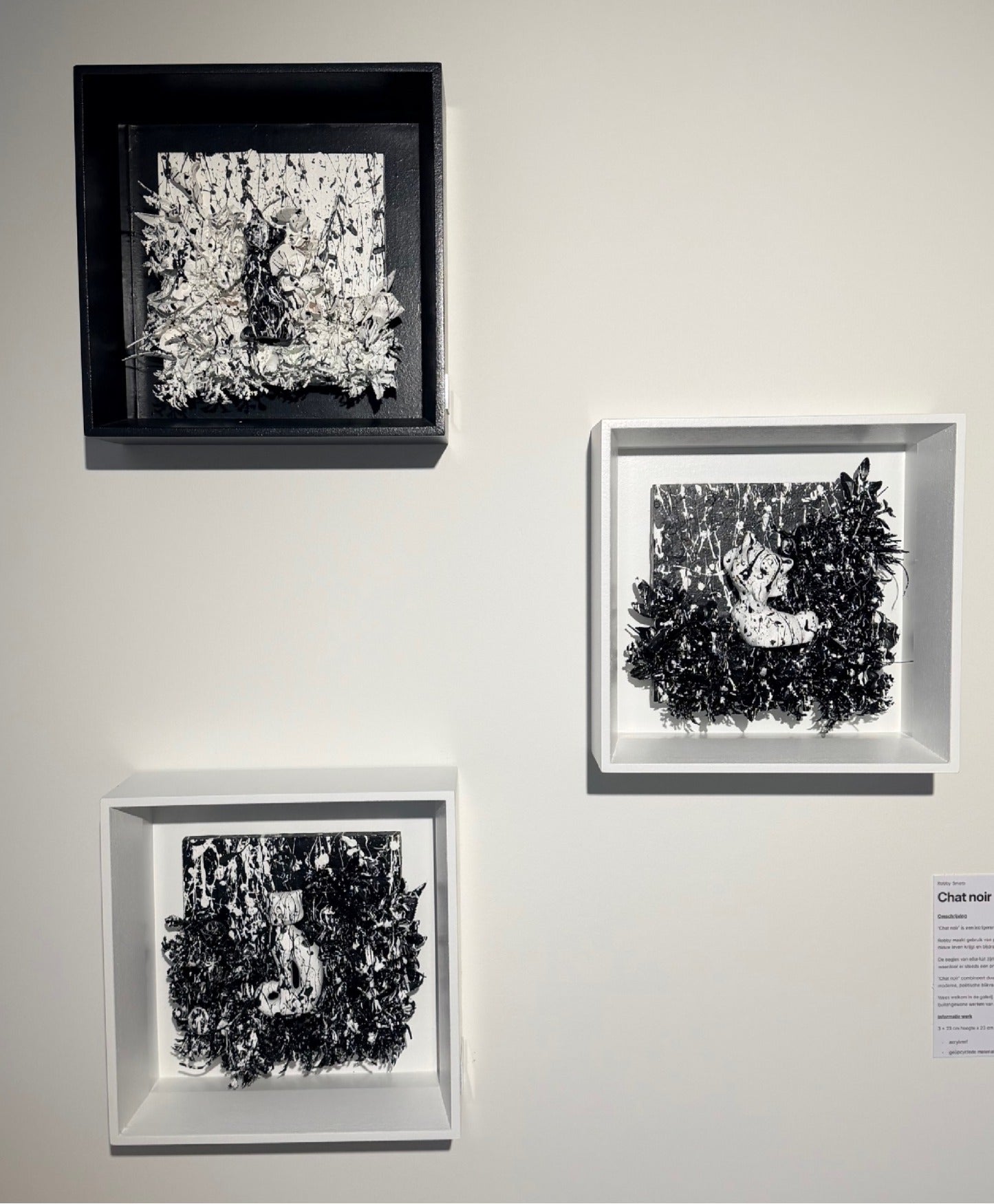 Chat noir 3-luik 1/1